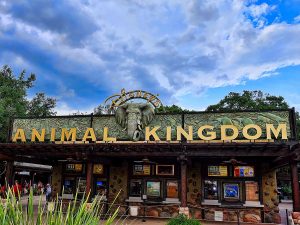 Disney’s Animal Kingdom, Orlando